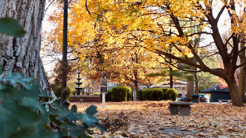 Irving Circle Park in autumn with golden trees and fountain, Irvington Indianapolis — photo by Kelby Dolan