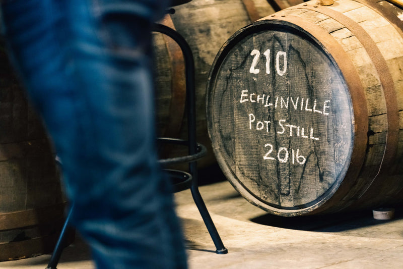 Echlinville Distillery