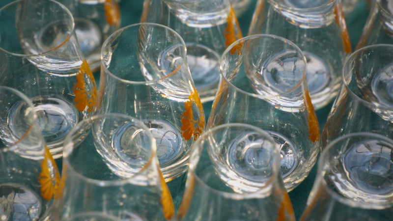 Snug Whiskey Fest